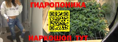 шишки Коммунар